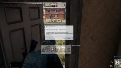 bad_module_info has stopped working in PUBG