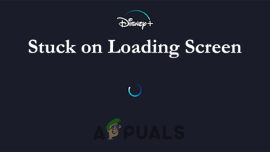 fix Disney Plus stuck on loading screen