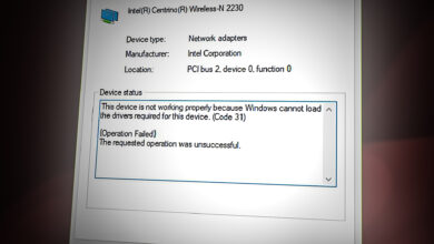 Network Adapter Device Status showing "Code 31"