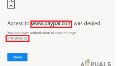 PayPal 403 Forbidden Error Message
