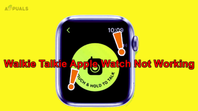 Walkie Talkie Apple Watch Not Working