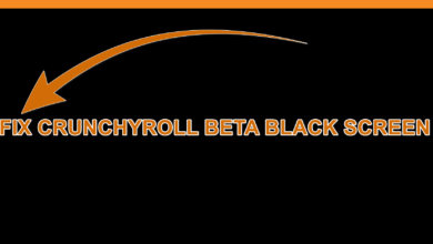 8 quick and easy ways to fix the Crunchyroll beta black screen issue.