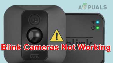 Blink Cameras Not Working