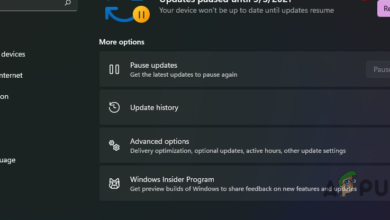 Pause Updates Option Greyed Out