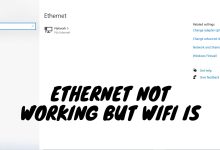 Ethernet not working but WiFi is
