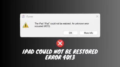 iPad could not be restored error 4013