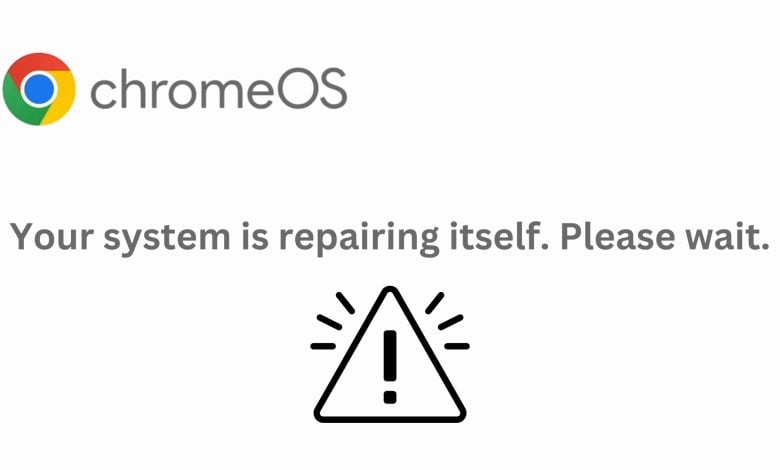 Your system is repairing itself please wait