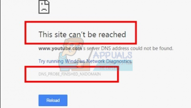 dns address could not be found