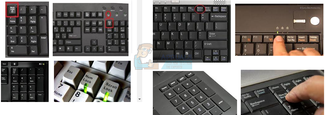 How to Fix Keyboard Typing Numbers Only Instead of Letters