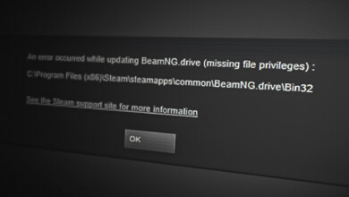 Steam missing file privileges