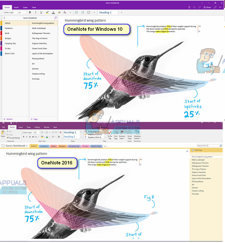 how to update onenote 2016 for windows 10
