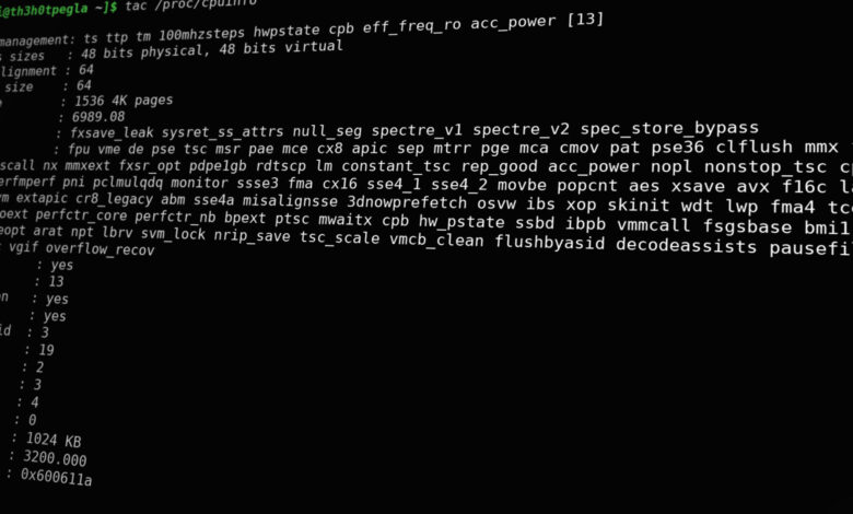 Contents of a Text File from the Linux Command Line