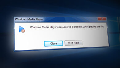 Windows Media Player encountered a problem