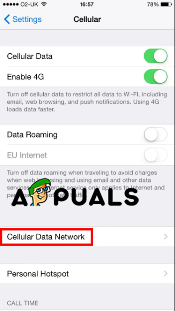 iPhone Cellular Settings