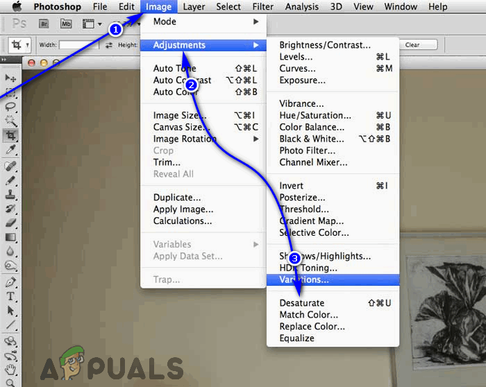 Desaturate option in Photoshop