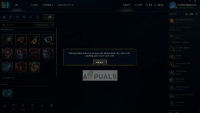 League of Legends Error Code 004 while patching