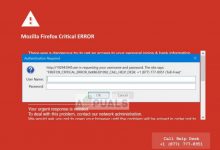 Mozilla Firefox Critical Error