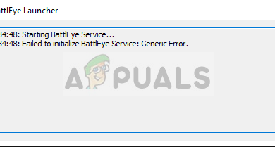 Failed to initialize BattlEye Service: Generic Error in Fortnite
