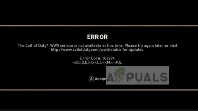 Call of Duty Error Code 103295 in PS4 and Xbox