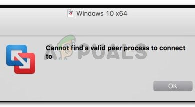 "Cannot find a valid peer process to connect to" on MacOS