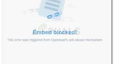 Embed blocked! This error was triggered from Openload's anti abuse mechanism