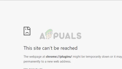 Can’t access chrome plugins