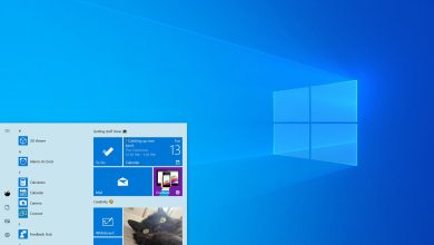 Windows 10 Light theme