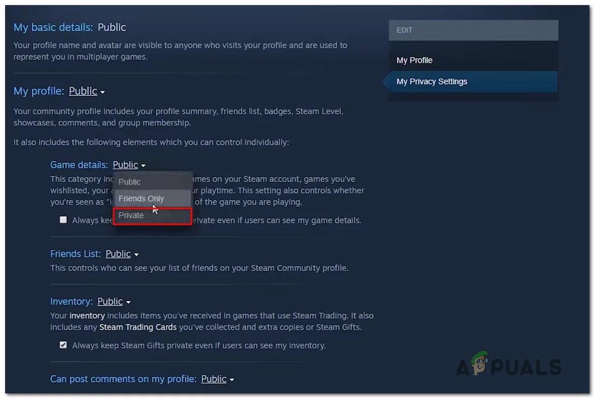 How to hide Steam games you're playing and game activity from