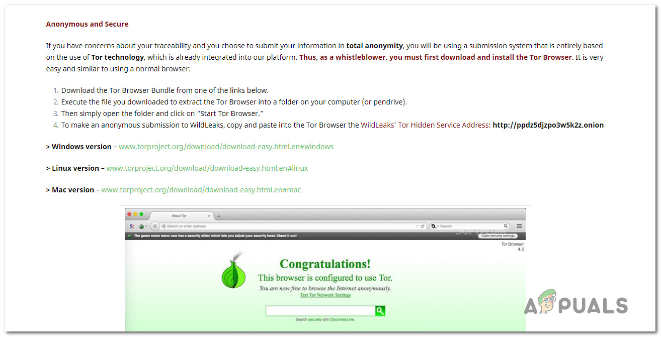 download tor proxy browser hydraruzxpnew4af