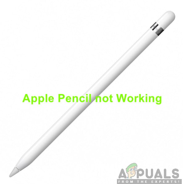 Apple Pencil funktioniert nicht