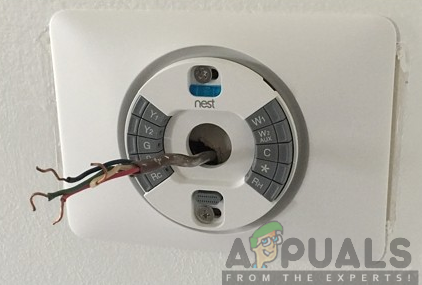 Attaching the Nest base plate to the wall using screws