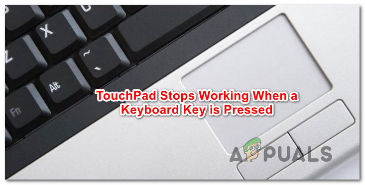 How to Fix Touchpad not Working when Holding a Keyboard Key