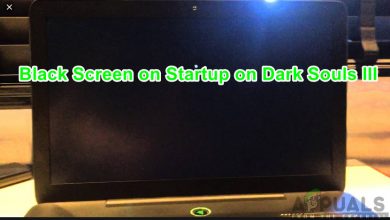 Black Screen on Startup on Dark Souls 3