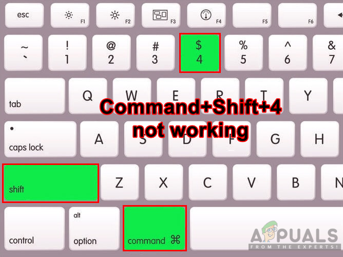 Control shift. Команд шифт 4. Shift в Mac os клавиатура. Ctrl Shift c на маке. Command c на маке.