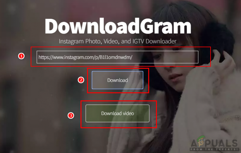 how to download a video from instagram on pc