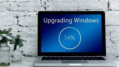 Windows 10 v1903 update block