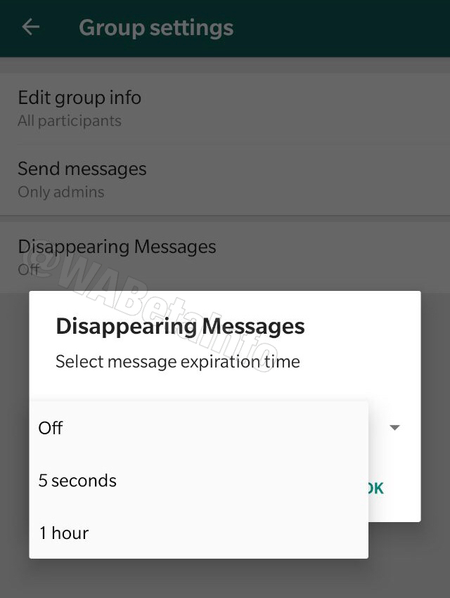  Disappearing Messages 