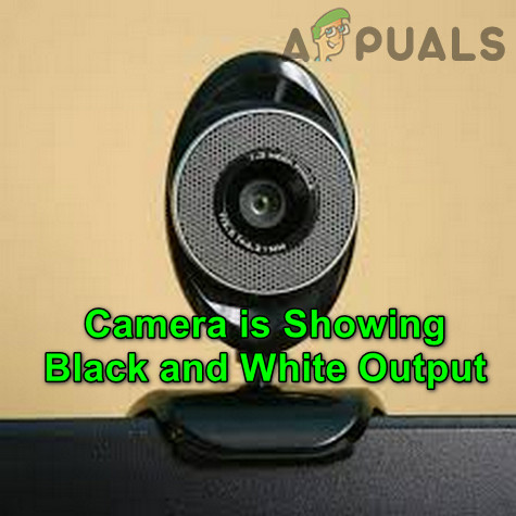 Камера Черно Белое Фото