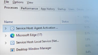 Agent Activation Runtime_15831 High CPU & Memory Consumption