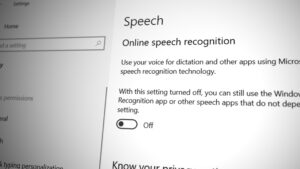 Disable Online Speech Recognition Option