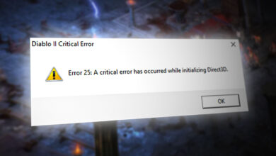 Diablo II 'Error Code 25' on Windows 10