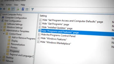 Hide Programs and Features Page in Control Panel