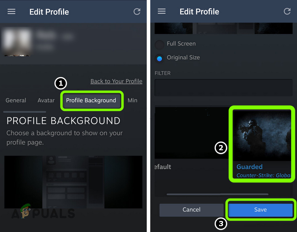 How to Change the Steam Profile Backgrounds  - 47