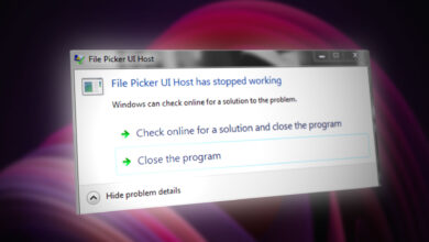 File Picker UI Host is not Responding