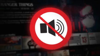 Audio/Video Out of Sync Problems on Netflix