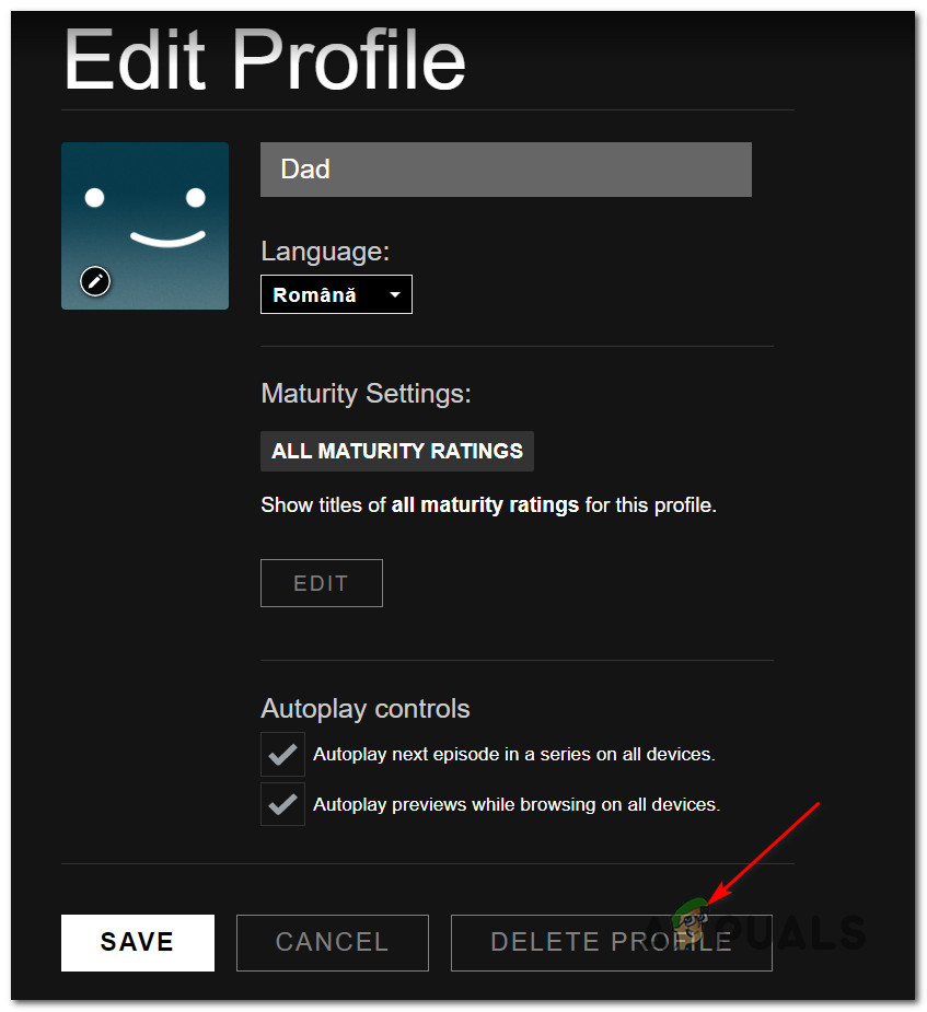deleting profile Methods to Repair Netflix Error NSEZ-403 on Home windows