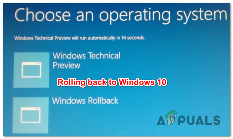How to Roll Back to Windows 10 from Windows 11 (Without Losing Your Data)