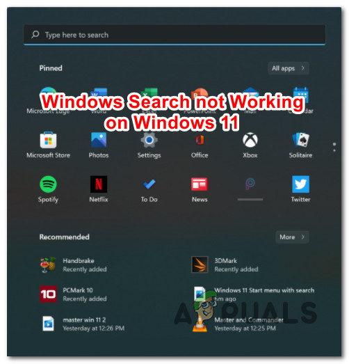 Windows 11 Search Bar Not Working? Try these fixes