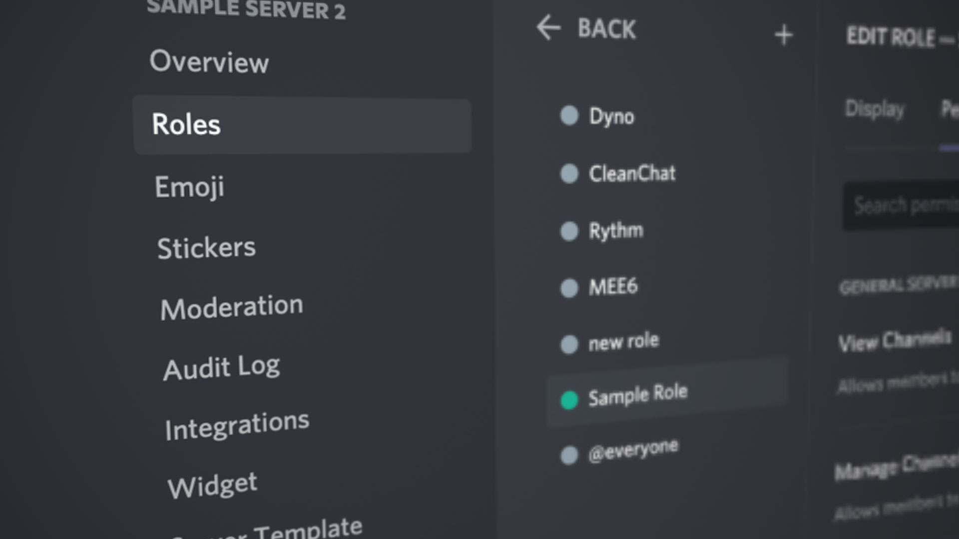 Add, Remove, Manage and Assign Roles in Discord