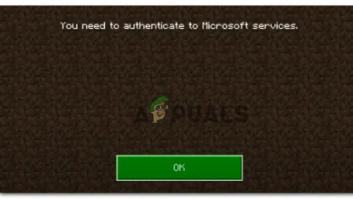 Minecraft Authentication Error